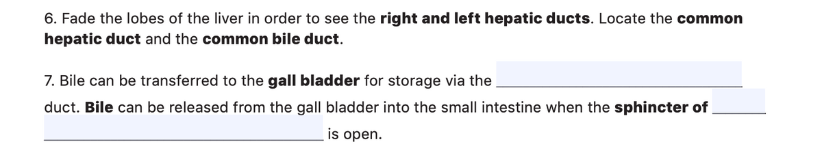 6. Fade the lobes of the liver in order to see the right and left hepatic ducts. Locate the common
hepatic duct and the common bile duct.
7. Bile can be transferred to the gall bladder for storage via the
duct. Bile can be released from the gall bladder into the small intestine when the sphincter of
is open.
