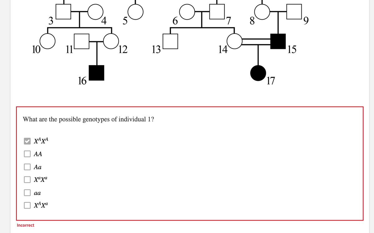 3
5
6.
7
8.
10
11
12
13
14
15
16
17
What are the possible genotypes of individual 1?
AA
Aa
aa
x4xa
Incorrect
