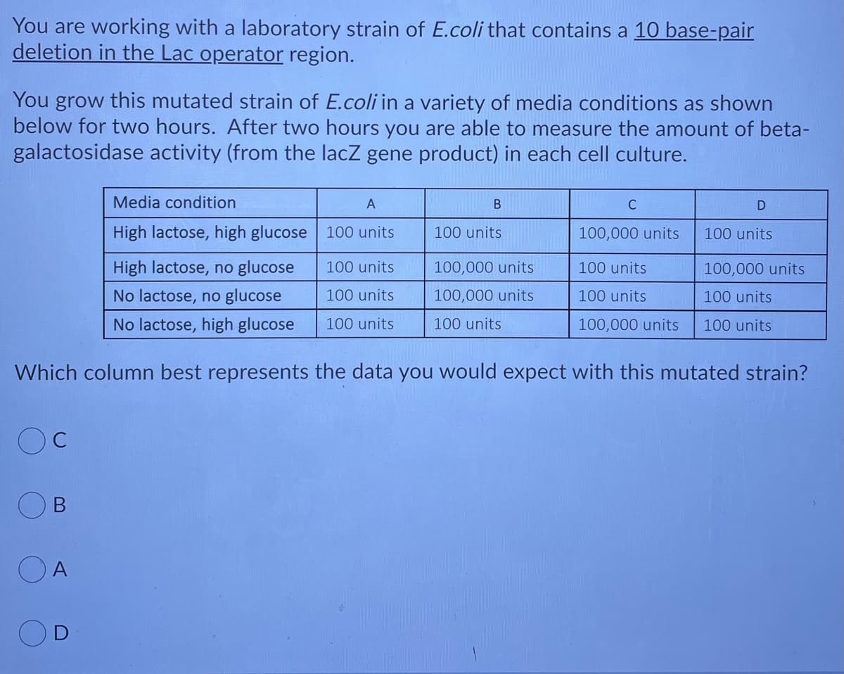 You are working with a laboratory strain of E.coli that contains a 10 base-pair
deletion in the Lac operator region.
You grow this mutated strain of E.coli in a variety of media conditions as shown
below for two hours. After two hours you are able to measure the amount of beta-
galactosidase activity (from the lacZ gene product) in each cell culture.
Media condition
А
В
C
High lactose, high glucose 100 units
100 units
100,000 units
100 units
High lactose, no glucose
100 units
100,000 units
100 units
100,000 units
No lactose, no glucose
100 units
100,000 units
100 units
100 units
No lactose, high glucose
100 units
100 units
100,000 units
100 units
Which column best represents the data you would expect with this mutated strain?
C
OA
OD
