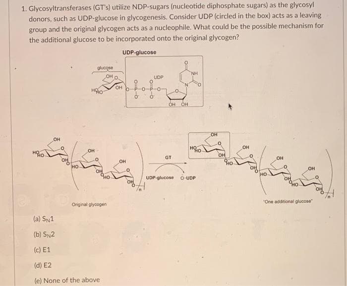 1. Glycosyltransferases (GT's) utilize NDP-sugars (nucleotide diphosphate sugars) as the glycosyl
donors, such as UDP-glucose in glycogenesis. Consider UDP (circled in the box) acts as a leaving
group and the original glycogen acts as a nucleophile. What could be the possible mechanism for
the additional glucose to be incorporated onto the original glycogen?
UDP-glucose
OH
glucose
OH
OH
ا یا پیاده
Original glycogen
OH
(a) SN1
(b) SN2
(c) E1
(d) E2
(e) None of the above
OH
UDP
O O
OH OH
GT
NH
ното
UDP-glucose O-UDP
OH
OH
Ho
OH
OH
OH
"One additional glucose