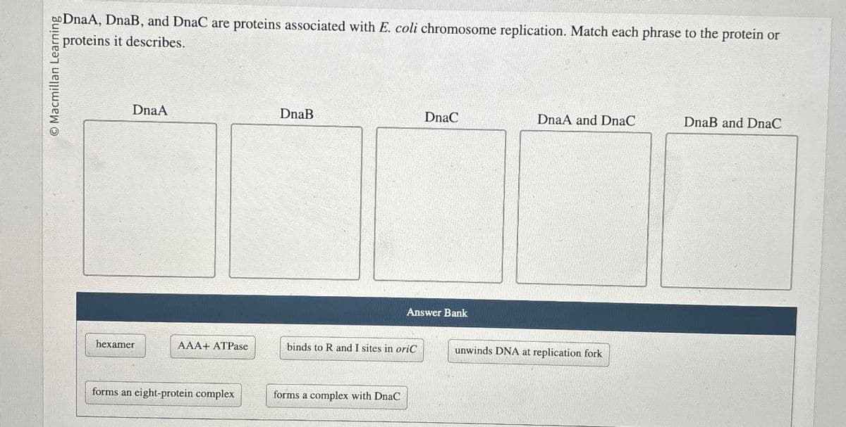 O Macmillan Learning
DnaA, DnaB, and DnaC are proteins associated with E. coli chromosome replication. Match each phrase to the protein or
proteins it describes.
DnaA
DnaB
DnaC
DnaA and DnaC
DnaB and DnaC
Answer Bank
hexamer
AAA+ ATPase
binds to R and I sites in oriC
unwinds DNA at replication fork
forms an eight-protein complex
forms a complex with DnaC