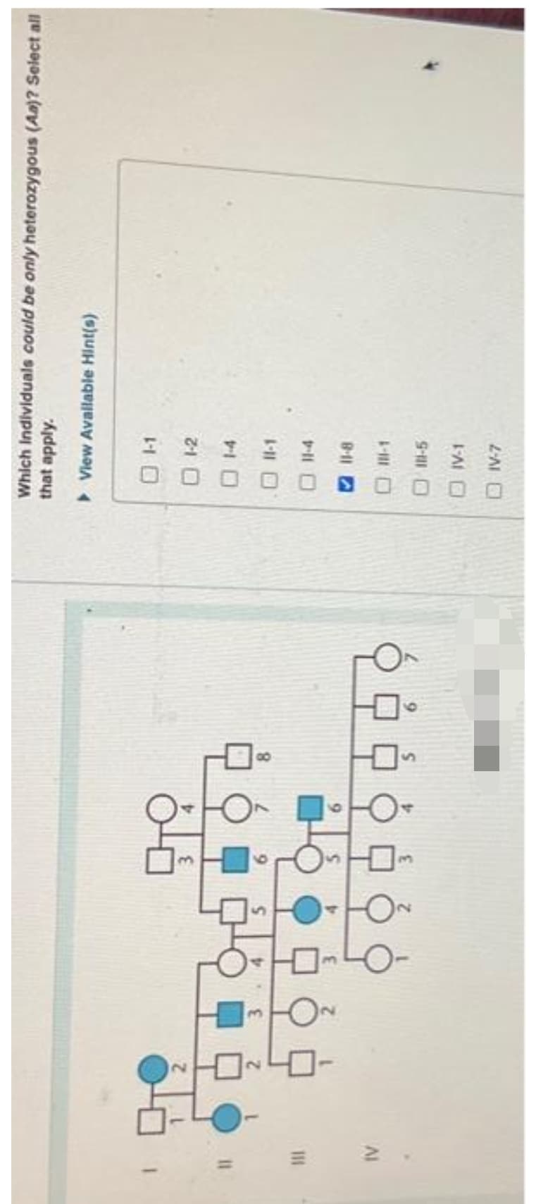 111
[
읽
이
Which Individuals could be only heterozygous (Aa)? Select all
that apply.
View Avallable Hint(s)
ㅁ ㅁ
H
1-2
11-4
11-8
● 10-5
ㅁ IV-1
DIV-7