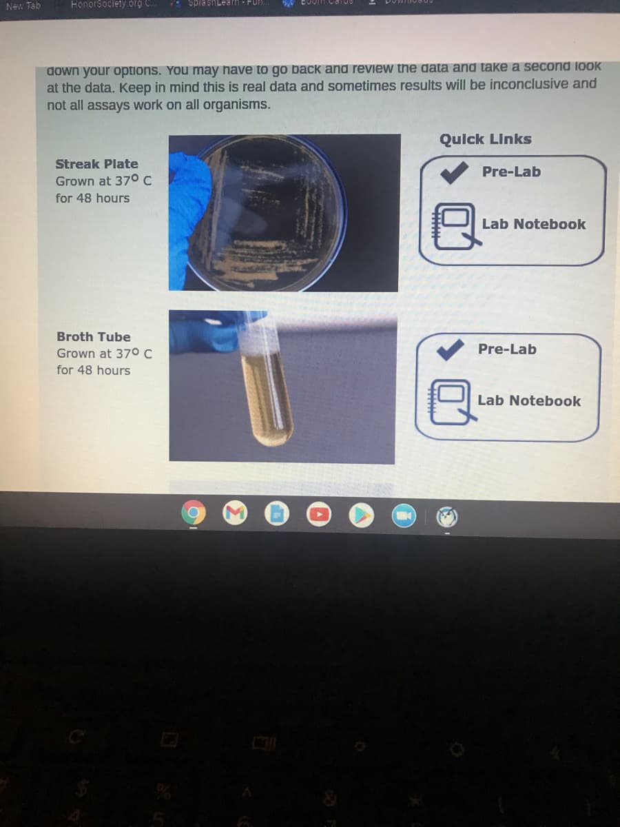 New Tab
HonorSociety.org C.
* SpiashLearn - FUH.
down your options. You may nave to go back and review the data and take a second IOOK
at the data. Keep in mind this is real data and sometimes results will be inconclusive and
not all assays work on all organisms.
Qulck Links
Streak Plate
Pre-Lab
Grown at 370 C
for 48 hours
Lab Notebook
Broth Tube
Grown at 370 C
Pre-Lab
for 48 hours
Lab Notebook
