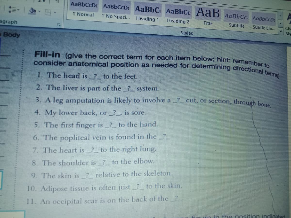 consider anatomical position as needed for determining directional terms)
AaBbCcD AaBbCcDc AaBbC AaBbCc
Fill-in (give the correct term for each item below; hint: remember to
AaB AaBbCc. AaBbCcD
T Normal
1 No Spaci... Heading 1
Heading 2
Title
Subtitle
Subtle Em...
Cha
agraph
Sty
Styles
Body
Fill-in (give the correct term for each item below; hint: remember
1. The head is _?_ to the feet.
2. The liver is part of the ? system.
3. A leg amputation is likely to involve a _?_ cut, or section, through bon
4. My lower back, or_? , is sore.
5. The first finger is_?_ to the hand.
6. The popliteal vein is found in the7.
7. The heart is ? to the right lung.
8. The shoulder is ? to the elbow.
9. The skin is ? relative to the skeleton.
10. Adipose tissue is often just_?_ to the skin.
11. An occipital scar is on the back of the ?.
tiguro in the position indicated
