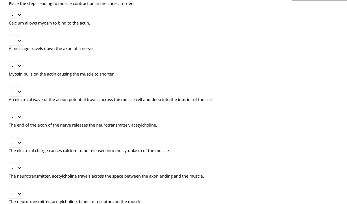 Place the steps leading to muscle contraction in the correct order.
Calcium allows myosin to bind to the actin.
A message travels down the axon of a nerve.
Myosin pulls on the actin causing the muscle to shorten.
An electrical wave of the action potential travels across the muscle cell and deep into the interior of the cell.
The end of the axon of the nerve releases the neurotransmitter, acetylcholine.
The electrical charge causes calcium to be released into the cytoplasm of the muscle.
The neurotransmitter, acetylcholine travels across the space between the axon ending and the muscle.
The neurotransmitter, acetylcholine, binds to receptors on the muscle.
