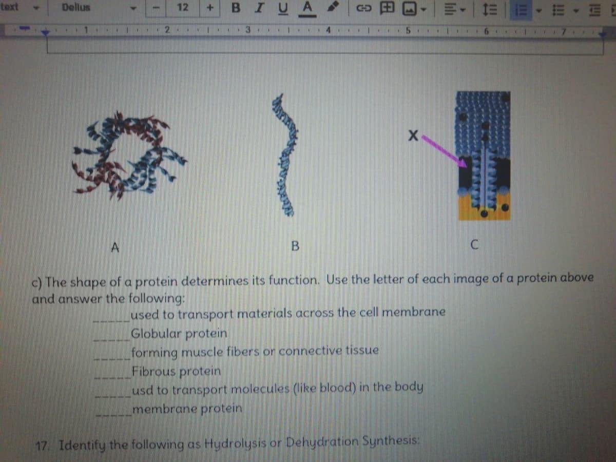 text
IU
Dellus
12
111
6.
11
81
A
c) The shape of a protein determines its function. Use the letter of each image of a protein above
and answer the following:
used to transport materials across the cell membrane
Globular protein
forming muscle fibers or connective tissue
Fibrous protein
usd to transport molecules (like blood) in the body
membrane protein
17. Identify the following as tHydrolysis or Dehydration Synthesis:
!!!
B.
