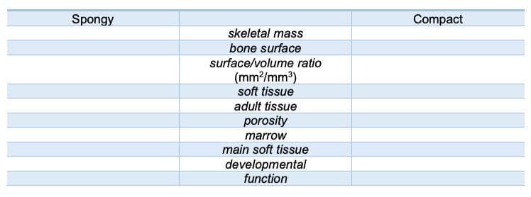 Spongy
skeletal mass
bone surface
surface/volume ratio
(mm²/mm³)
soft tissue
adult tissue
porosity
marrow
main soft tissue
developmental
function
Compact