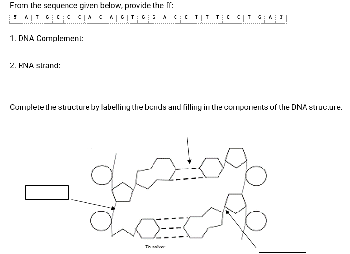 From the sequence given below, provide the ff:
1. DNA Complement:
2. RNA strand:
Complete the structure by labelling the bonds and filling in the components of the DNA structure.
To enn
---
