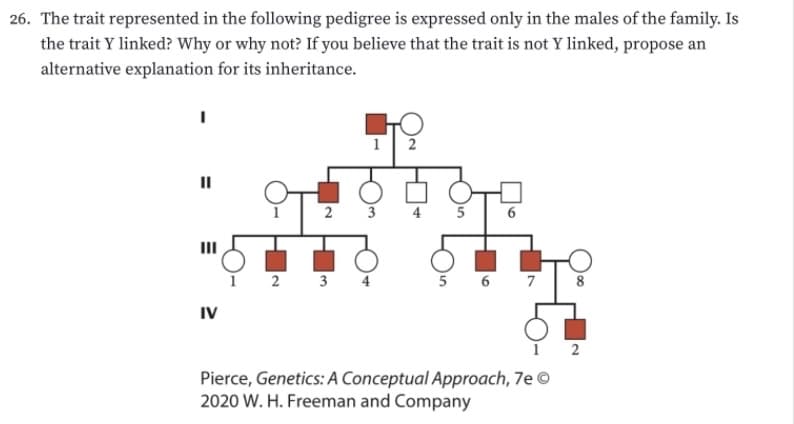 26. The trait represented in the following pedigree is expressed only in the males of the family. Is
the trait Y linked? Why or why not? If you believe that the trait is not Y linked, propose an
alternative explanation for its inheritance.
1
2
II
3
6
II
I 2 3 4
5 6 7
8
IV
1 2
Pierce, Genetics: A Conceptual Approach, 7e ©
2020 W. H. Freeman and Company
