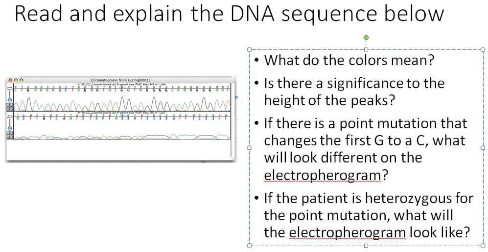 Read and explain the DNA sequence below
A
Chromatograms from Contig[0001]
MC2-wiregent base #543 Base 343 of 1,044
TAGAGTATGGTAEEEE
•
What do the colors mean?
Is there a significance to the
height of the peaks?
If there is a point mutation that
changes the first G to a C, what
will look different on the
electropherogram?
If the patient is heterozygous for
the point mutation, what will
the electropherogram look like?