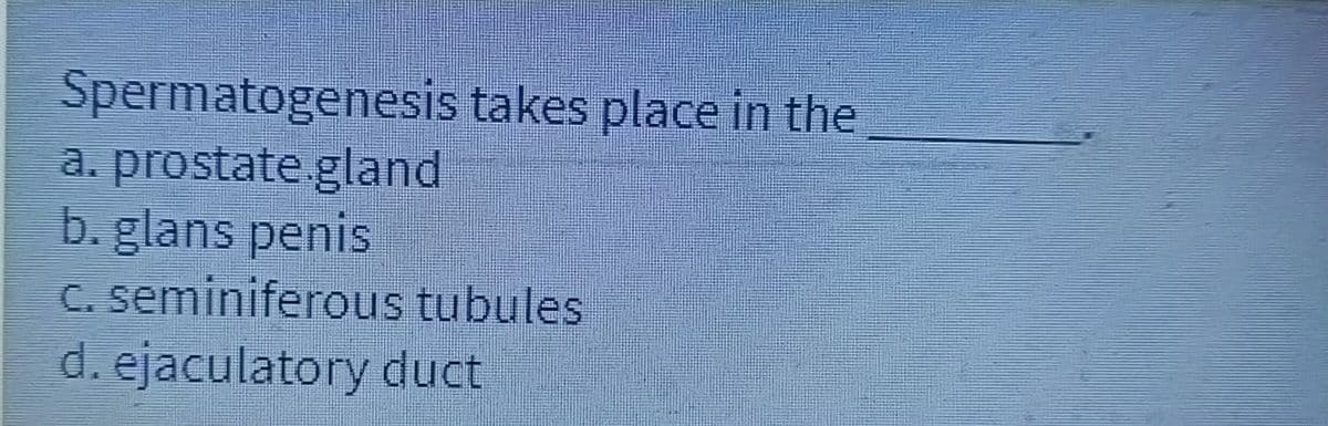 Spermatogenesis takes place in the
a. prostate.gland
b. glans penis
c. seminiferous tubules
d. ejaculatory duct
