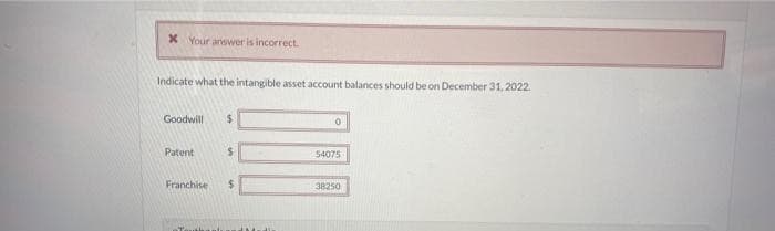 x Your answer is incorrect.
Indicate what the intangible asset account balances should be on December 31, 2022.
Goodwill $
Patent
Franchise
$
$
0
54075
38250