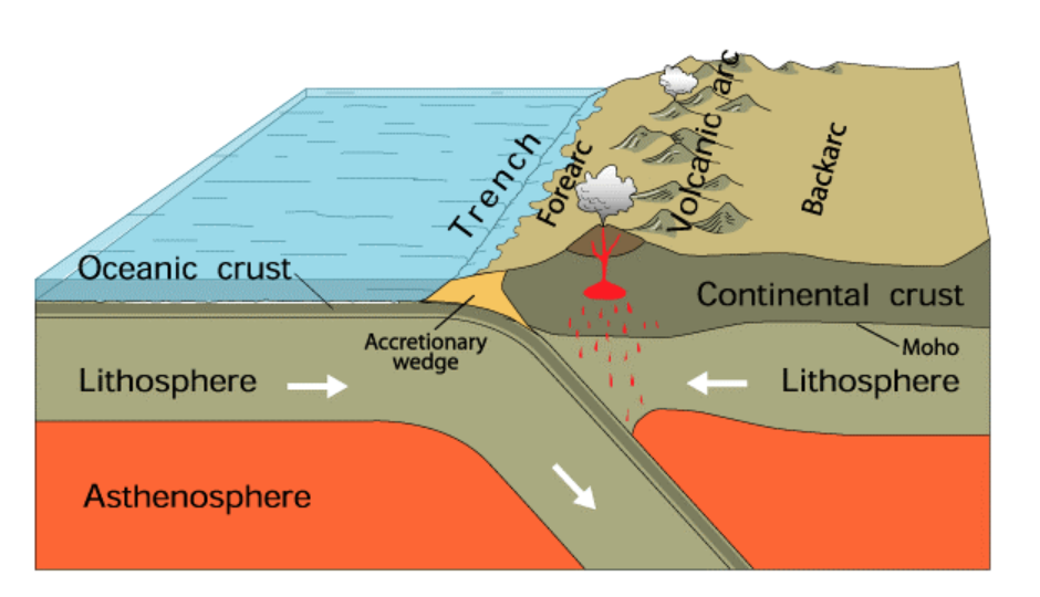 Oceanic crust
Continental crust
Accretionary
wedge
Moho
Lithosphere
Lithosphere
Asthenosphere
Trench
Forearc
Volcanic arc
Backarc
