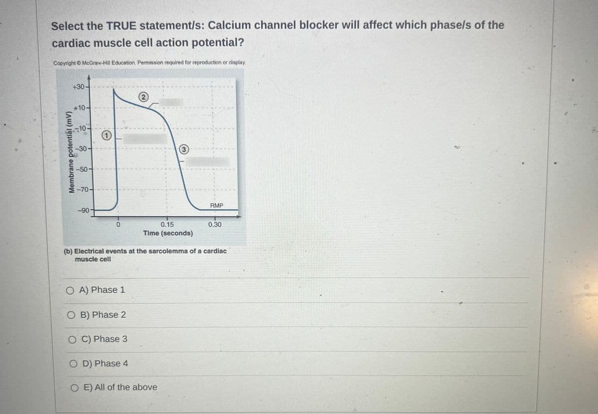Select the TRUE statement/s: Calcium channel blocker will affect which phase/s of the
cardiac muscle cell action potential?
Copyright © McGraw-Hill Education. Permission required for reproduction or display.
+30-
Membrane potential (mv)
+10.
-10-
-30-
-50-
-70-
-90
0
O A) Phase 1
OB) Phase 2
OC) Phase 3
(b) Electrical events at the sarcolemma of a cardiac
muscle cell
OD) Phase 4
3
0.15
Time (seconds)
OE) All of the above
RMP
0.30