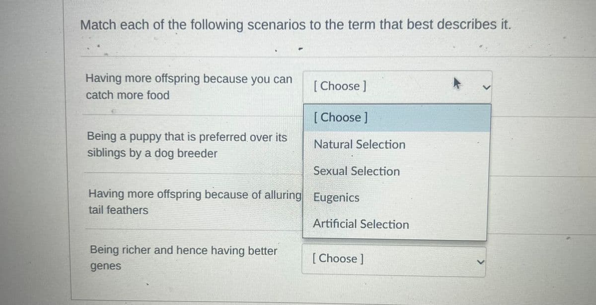 Match each of the following scenarios to the term that best describes it.
Having more offspring because you can
catch more food
Being a puppy that is preferred over its
siblings by a dog breeder
[Choose ]
Being richer and hence having better
genes
[Choose ]
Natural Selection
Sexual Selection
Having more offspring because of alluring Eugenics
tail feathers
Artificial Selection
[Choose ]