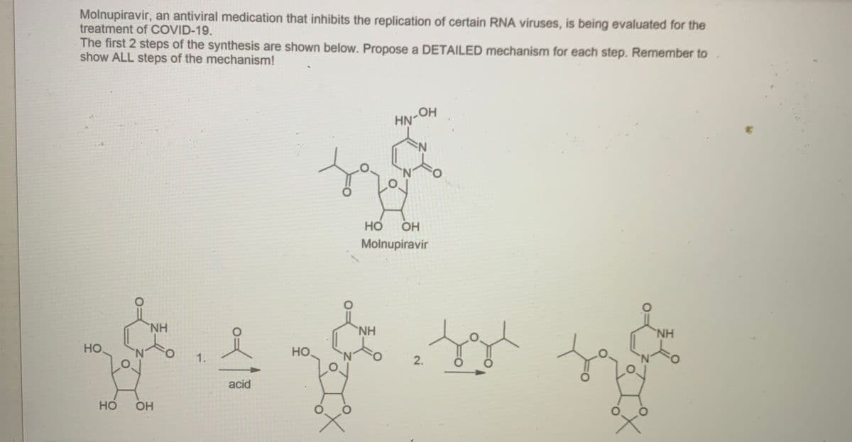 Molnupiravir, an antiviral medication that inhibits the replication of certain RNA viruses, is being evaluated for the
treatment of COVID-19.
The first 2 steps of the synthesis are shown below. Propose a DETAILED mechanism for each step. Remember to
show ALL steps of the mechanism!
HN-OH
Но
OH
Molnupiravir
H.
H.
NH
но
HO
1.
2.
acid
но
OH
