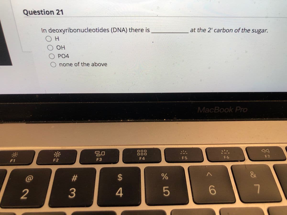 Question 21
In deoxyribonucleotides (DNA) there is
OH
at the 2' carbon of the sugar.
OH
PO4
O none of the above
MacBook Pro
20
F4
F 5
F6
F7
F1
F2
F3
#3
%24
2
3
5
6.
7.
