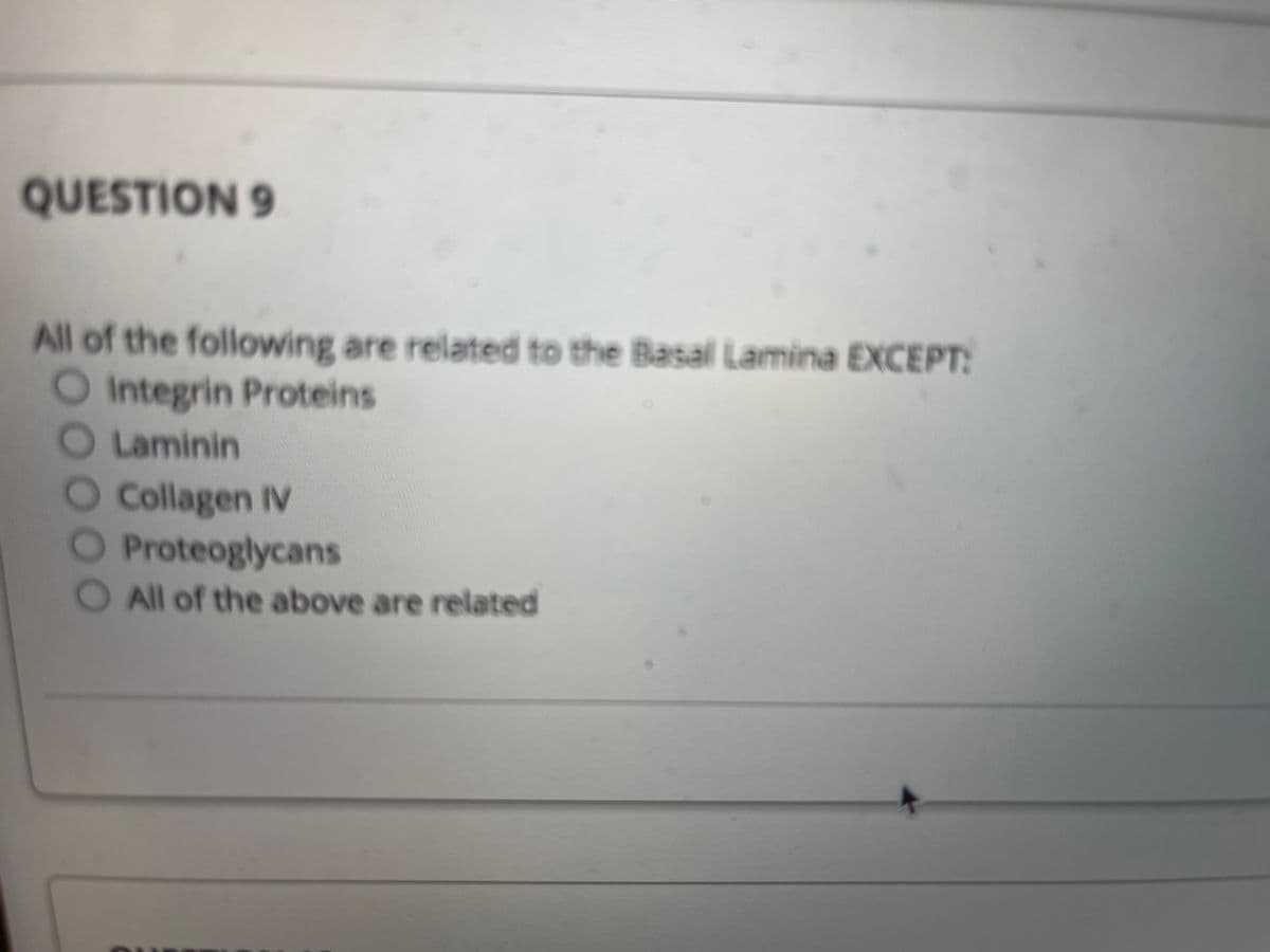 QUESTION 9
All of the following are related to the Basal Lamina EXCEPT:
O Integrin Proteins
OLaminin
O Collagen IV
O Proteoglycans
All of the above are related
