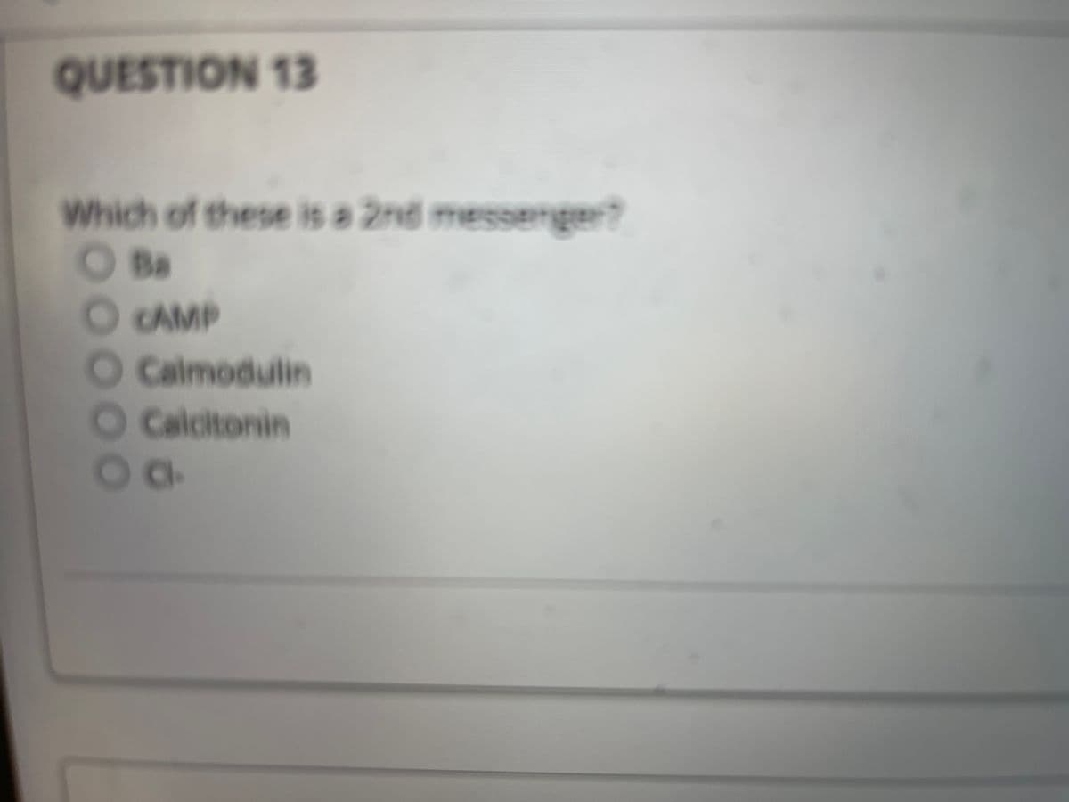 QUESTION 13
Which of these is a 2nd messenger?
OBa
O CAMP
O Calmodulin
OCalcitonin
