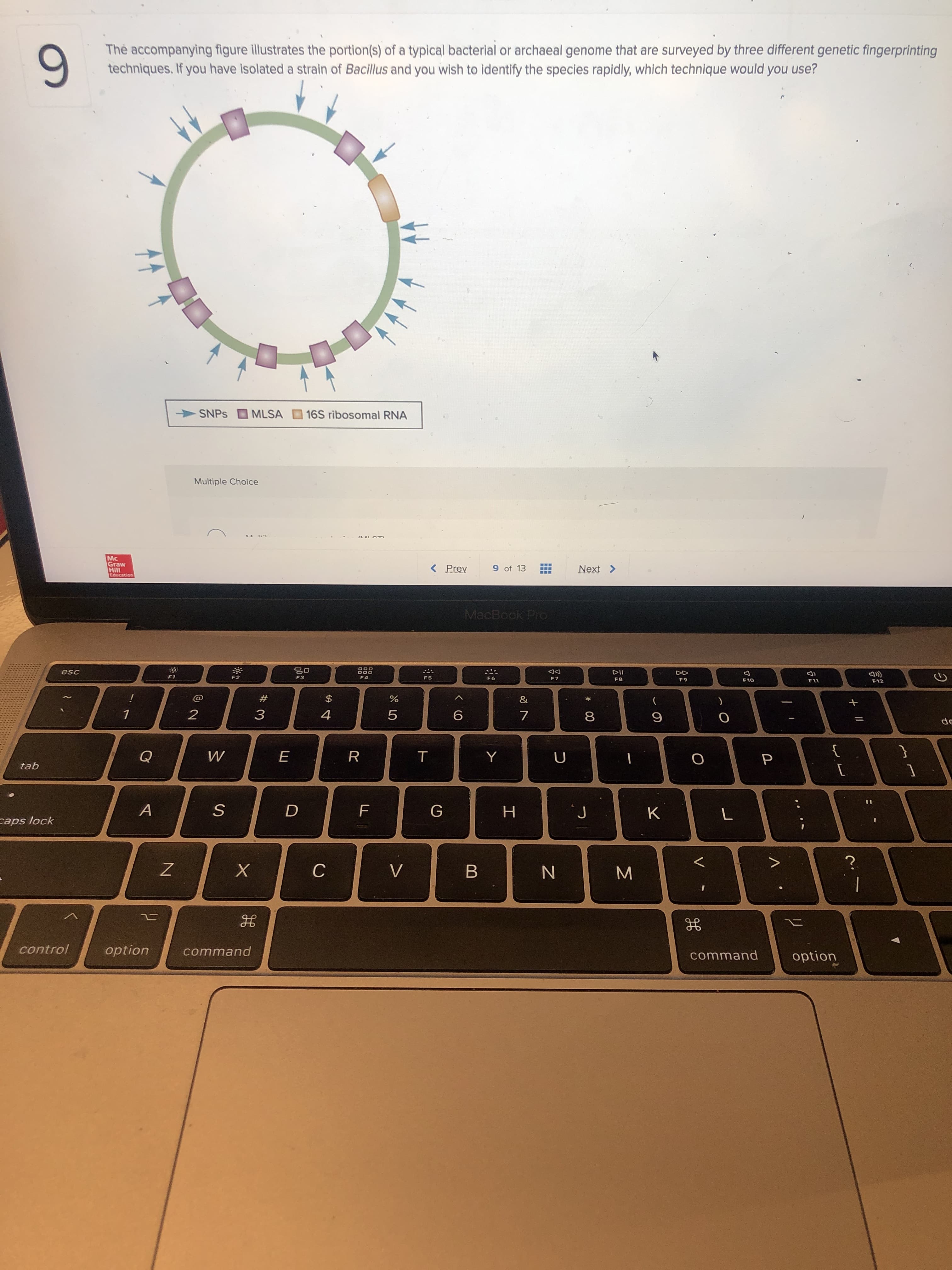 Thẻ accompanying figure illustrates the portion(s) of a typical bacterial or archaeal genome that are surveyed by three different genetic fingerprinting
techniques. If you have isolated a strain of Bacillus and you wish to identify the species rapidly, which technique would you use?
