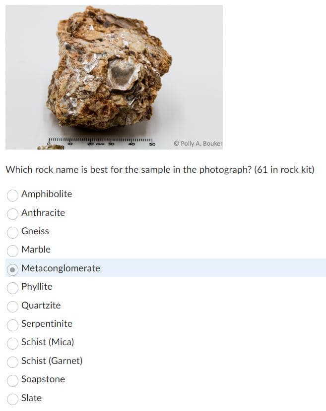 Amphibolite
Anthracite
Gneiss
Marble
Which rock name is best for the sample in the photograph? (61 in rock kit)
Metaconglomerate
Phyllite
Quartzite
Serpentinite
mm 30
Schist (Mica)
Schist (Garnet)
Soapstone
Slate
Ⓒ Polly A. Bouker