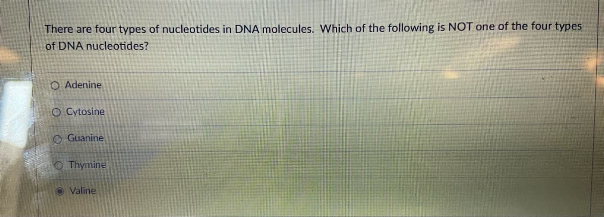 There are four types of nucleotides in DNA molecules. Which of the following is NOT one of the four types
of DNA nucleotides?
O Adenine
O Cytosine
O Guanine
O Thymine
O Valine
