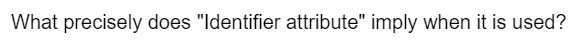 What precisely does "Identifier attribute" imply when it is used?