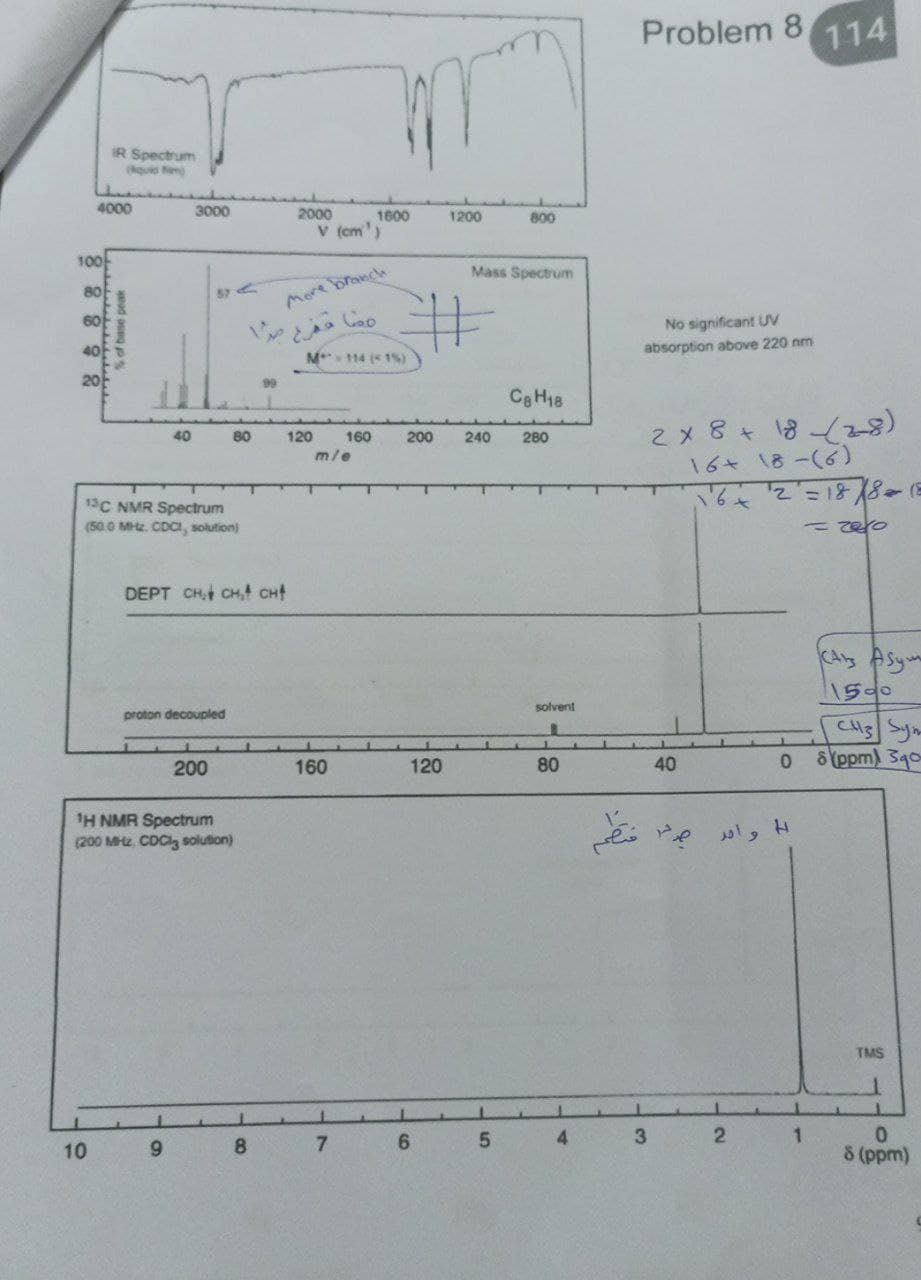 4000
100
IR Spectrum
(quid im
80
8888
% of base peak
3000
57
40
13C NMR Spectrum
(50.0 MHz. CDCI, solution)
10 9
I'
99
80
DEPT CH₂ CH₂ CH
proton decoupled
200
¹H NMR Spectrum
(200 MHz, CDC3 solution)
8
2000
v (cm')
More branch
مها مفرح
120
M-114 (<1%)
160
m/e
1600
160
1
7
#
240
200
120
1200
6
800
Mass Spectrum
C8H18
280
5
solvent
1
80
4
Problem 8
No significant UV
absorption above 220 nm
2 x 8 + 18 (28)
16+ 18-(6)
16 x ¹2²=1878 = (=
=2010
فتظم
3
40
واحد ص
2
0
1
114
CAs Asym
1500
CH3 Sy
8 (ppm) 340
TMS
L 1
0
8 (ppm)