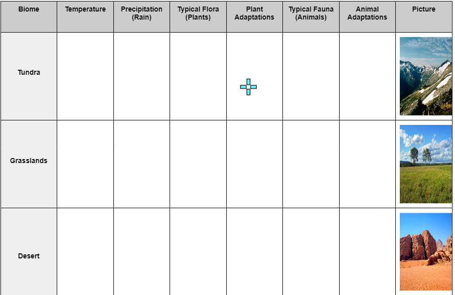 Typical Flora
(Plants)
Typical Fauna
(Animals)
Biome
Temperature
Picture
Precipitation
(Rain)
Plant
Animal
Adaptations
Adaptations
Tundra
Grasslands
Desert
