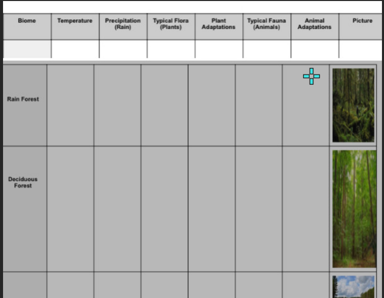 Typical Fauna
(Animals)
Biome
Temperature
Precipitation
(Rain)
Typical Flora
(Plants)
Plant
Animal
Picture
Adaptations
Adaptations
Rain Forest
Deciduous
Forest
