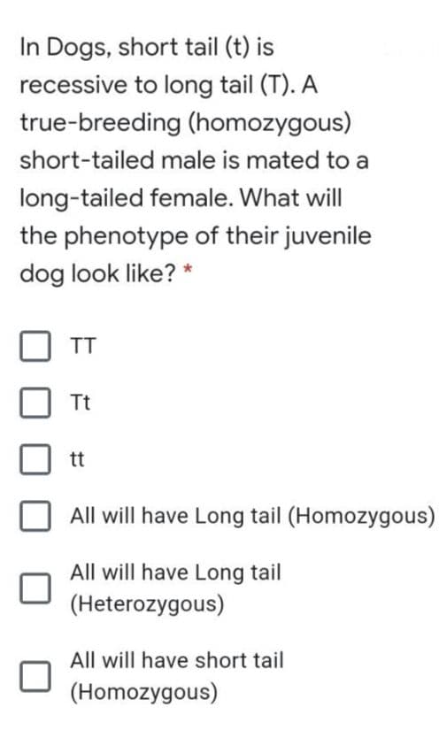 In Dogs, short tail (t) is
recessive to long tail (T). A
true-breeding (homozygous)
short-tailed male is mated to a
long-tailed female. What will
the phenotype of their juvenile
dog look like? *
TT
Tt
tt
All will have Long tail (Homozygous)
All will have Long tail
(Heterozygous)
All will have short tail
(Homozygous)
