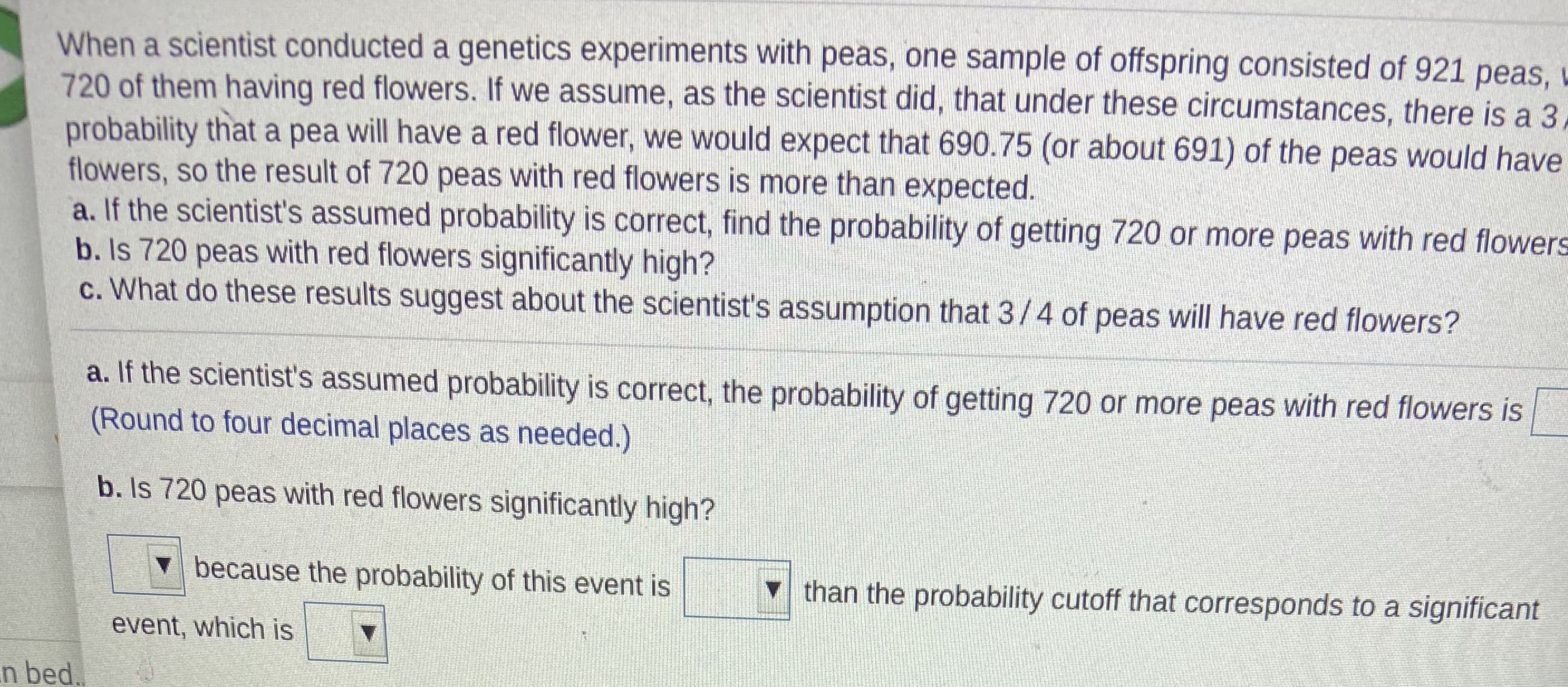 When a scientist conducted a genetics experiments with peas, one sample of offspring consisted of 921 peas, u
720 of them having red flowers. If we assume, as the scientist did, that under these circumstances, there is a 3
probability that a pea will have a red flower, we would expect that 690.75 (or about 691) of the peas would have
flowers, so the result of 720 peas with red flowers is more than expected.
a. If the scientist's assumed probability is correct, find the probability of getting 720 or more peas with red flowers
b. Is 720 peas with red flowers significantly high?
c. What do these results suggest about the scientist's assumption that 3/4 of peas will have red flowers?
a. If the scientist's assumed probability is correct, the probability of getting 720 or more peas with red flowers is
(Round to four decimal places as needed.)
b. Is 720 peas with red flowers significantly high?
V because the probability of this event is
than the probability cutoff that corresponds to a significant
event, which is
n bed.
