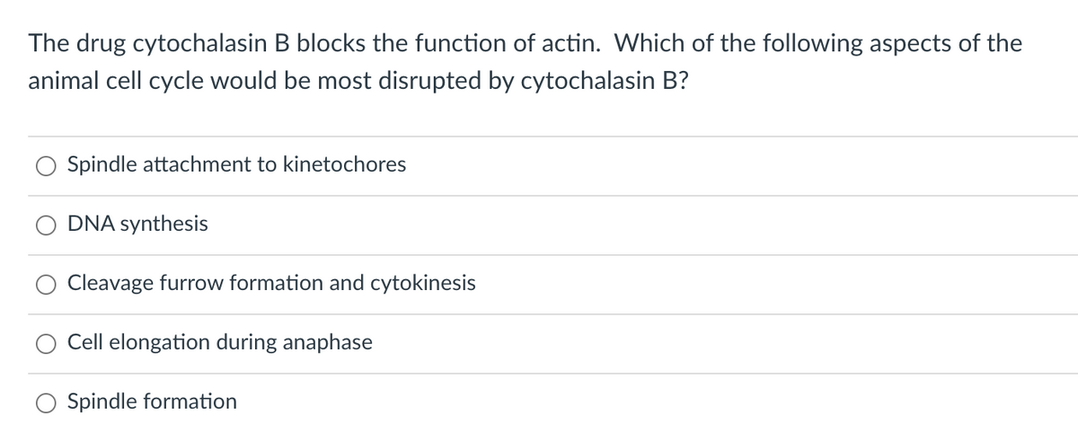 The drug cytochalasin B blocks the function of actin. Which of the following aspects of the
animal cell cycle would be most disrupted by cytochalasin B?
Spindle attachment to kinetochores
DNA synthesis
Cleavage furrow formation and cytokinesis
Cell elongation during anaphase
Spindle formation
