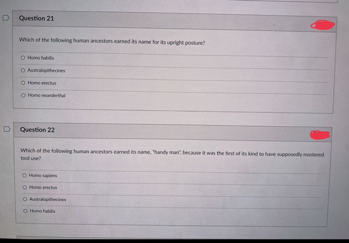 Question 21
Which of the following human ancestors earned its name for its upright posture?
O Homo habilis
O Australopithecines
O Homo erectus
O Homo neanderthal
Question 22
Which of the following human ancestors earned its name, "handy man", because it was the first of its kind to have supposedly mastered
tool use?
O Homo sapiens
O Homo erectus
O Australopithecines
O Homo habilis