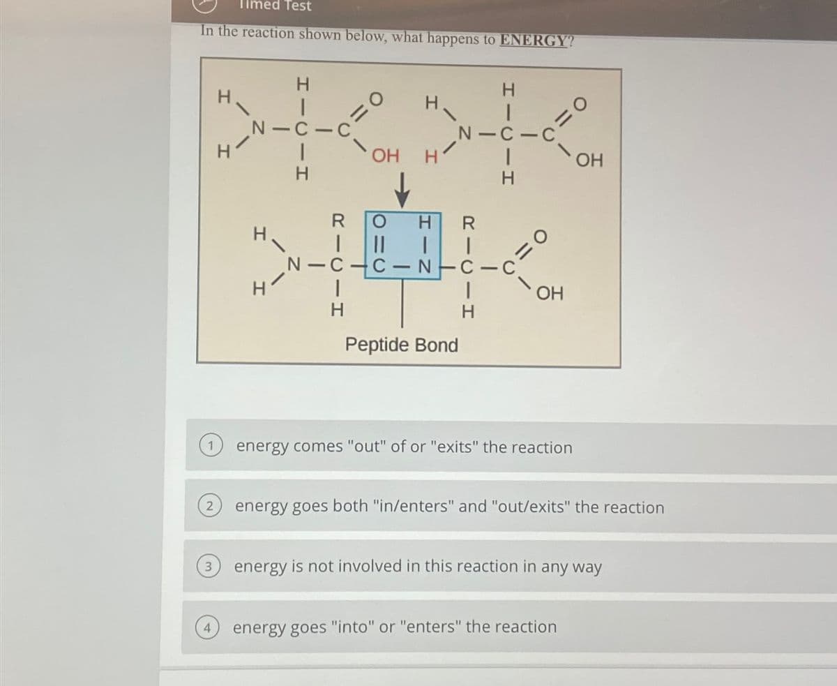 Timed Test
In the reaction shown below, what happens to ENERGY?
2
3
4
H
H
H
|
N-C-C
H
H-
|
H
R
N-C
1
H
O
OH
H
H
H
I
N-C-C
Peptide Bond
R
I
|| 1
C-N-C-C
|
H
1
H
O
"/
OH
O
energy comes "out" of or "exits" the reaction
OH
energy goes both "in/enters" and "out/exits" the reaction
energy goes "into" or "enters" the reaction
energy is not involved in this reaction in any way