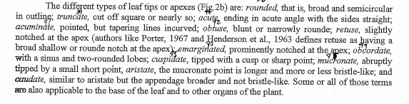 The different types of leaf tips or apexes (Fig.2b) are: rounded, that is, broad and semicircular
in outling; truncate, cut off square or nearly so; acutg ending in acute angle with the sides straight;
acumindte, pointed, but tapering lines incurved; obluse, blunt or narrowly rounde; retuse, slightly
notched at the apex (authors like Porter, 1967 and Henderson et al., 1963 defines retuse as bhaving a
broad shallow or rounde notch at the apex)emarginlated, prominently notched at the apex; obcordate,
with a sinus and two-rounded lobes; cuspidate, tipped with a cusp or sharp point; mucronate, abruptly
tipped by a small short point, aristate, the mucronate point is longer and more or less bristle-like; and
caudate, similar to aristate but the appendage broader and not bristle-like. Some or all of those terms
are also applicable to the base of the leaf and to other organs of the plant.
