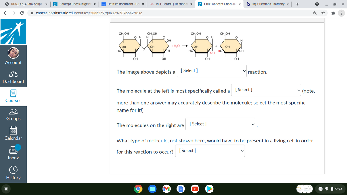 O DOS Lab_Audio_Script x
A Concept Check-large bi x
Untitled document - Go x
* VHL Central | Dashboar X
Quiz: Concept Check-la x
b My Questions | bartleby x
+
A canvas.northseattle.edu/courses/2086259/quizzes/5876542/take
CH,OH
CH;OH
CH,OH
CH;OH
O H
O H
OH
+ H;0
OH
но
OH
HON
+
OH
OH
HO
OH
OH
OH
OH
OH
он
Account
The image above depicts a
[ Select ]
v reaction.
Dashboard
The molecule at the left is most specifically called a
[ Select ]
v (note,
Courses
more than one answer may accurately describe the molecule; select the most specific
name for it!)
Groups
The molecules on the right are
[ Select ]
Calendar
What type of molecule, not shown here, would have to be present in a living cell in order
[ Select ]
for this reaction to occur?
Inbox
History
O v i 9:24
