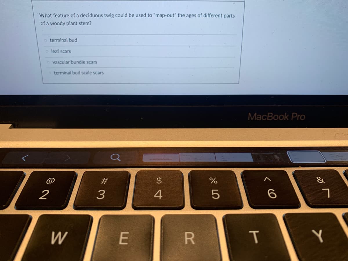 What feature of a deciduous twig could be used to "map-out" the ages of different parts
of a woody plant stem?
o terminal bud
o leaf scars
o vascular bundle scars
o terminal bud scale scars
MacBook Pro
#
$4
2
4
5
W
Y
くO
