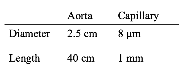 Aorta
Capillary
Diameter
2.5 cm
8 μm
Length
40 cm
1 mm