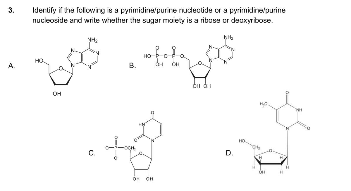 Identify if the following is a pyrimidine/purine nucleotide or a pyrimidine/purine
nucleoside and write whether the sugar moiety is a ribose or deoxyribose.
3.
NH2
NH2
nofof
N.
Но-
HO.
А.
В.
ÓH
ОН
ОН ОН
ОН
H3C.
NH
HN
но.
OCH2
CH2
С.
D.
H
OH
он
он
