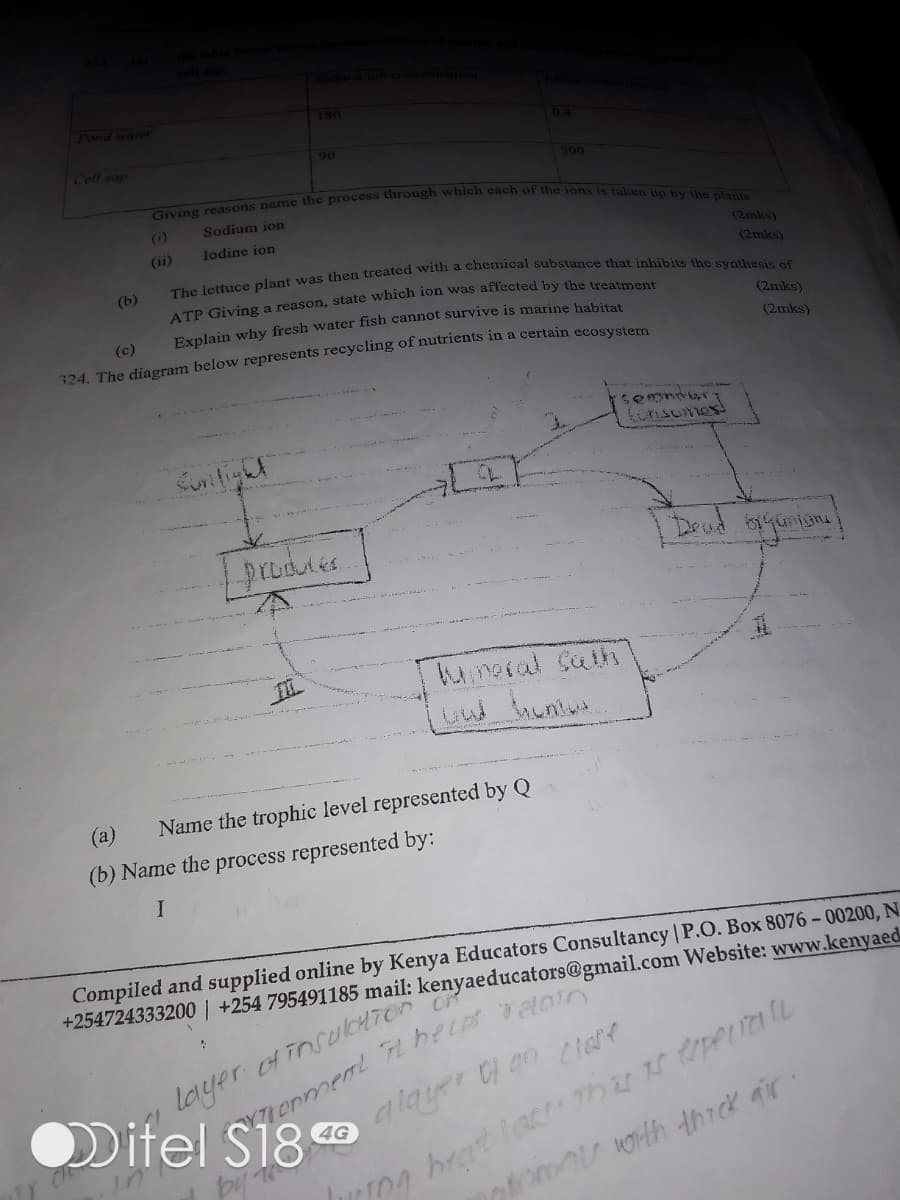 (16)
table b
cell sap.
Sodium ion concentration
Pond water
Cell sap
180
90
0.4
500
Giving reasons name the process through which each of the ions is taken up by the plants
Sodium ion
(i)
(ii)
Iodine ion
(b)
(c)
(2mks)
(2mks)
The lettuce plant was then treated with a chemical substance that inhibits the synthesis of
ATP Giving a reason, state which ion was affected by the treatment
Explain why fresh water fish cannot survive is marine habitat
324. The diagram below represents recycling of nutrients in a certain ecosystem
(2mks)
(2mks)
Conlight
produces
Wumeral Sath
and hom
(a)
Name the trophic level represented by Q
(b) Name the process represented by:
I
SemmaTY
Consumer
"Dead brganism
Compiled and supplied online by Kenya Educators Consultancy | P.O. Box 8076-00200, N
+254724333200 | +254 795491185 mail: kenyaeducators@gmail.com Website: www.kenyaed
help retain
of insultTony
layer
Tronment
Ditel S18
by
4G
a layer of an close
Juring brat last. This pa
atomy with thick air.