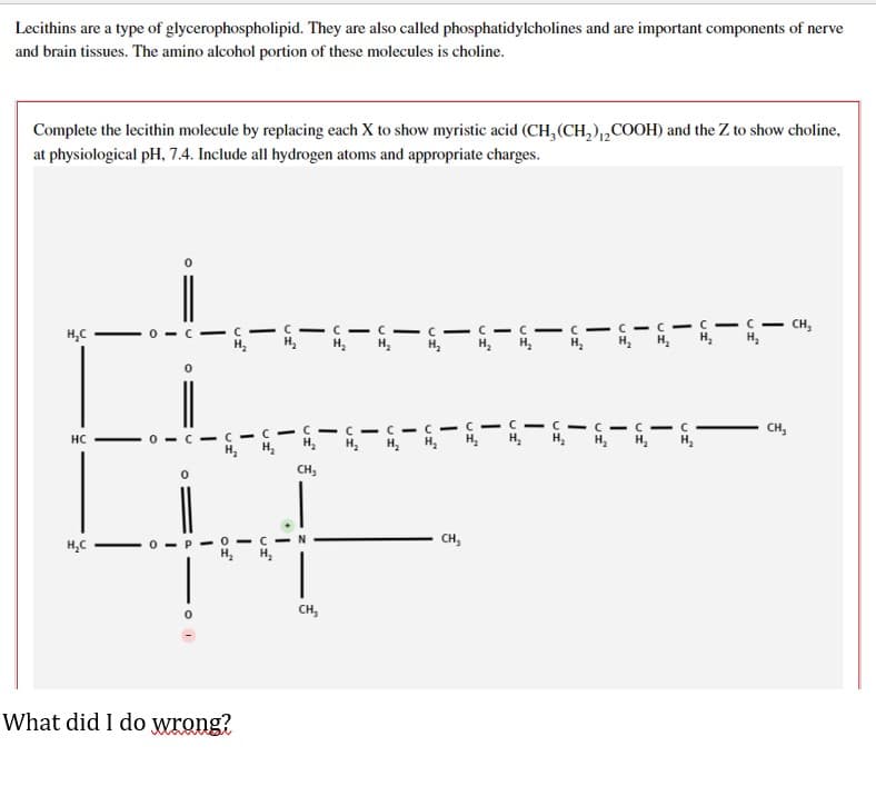 Lecithins are a type of
glycerophospholipid.
They are also called phosphatidylcholines and are important components of nerve
and brain tissues. The amino alcohol portion of these molecules is choline.
Complete the lecithin molecule by replacing each X to show myristic acid (CH₂(CH₂)2COOH) and the Z to show choline,
at physiological pH, 7.4. Include all hydrogen atoms and appropriate charges.
H₂C
1c1c-c-c-c-c-c-c-C-C-C- CH₂
H₂ H₂ H₂ H₂ H₂
H₂
H₂
H₂ H₂
CH₂
HC
C-c-c-c-C-CIC-c-c-c
H₂ H₂H₂
H₂ H₂ H₂
H₂
CH₂
CH₂
H₂C
What did I do wrong?
0
0
CICIC
H₂
H₂
O
OF
I
UI
OI
1
UI
CH₂
