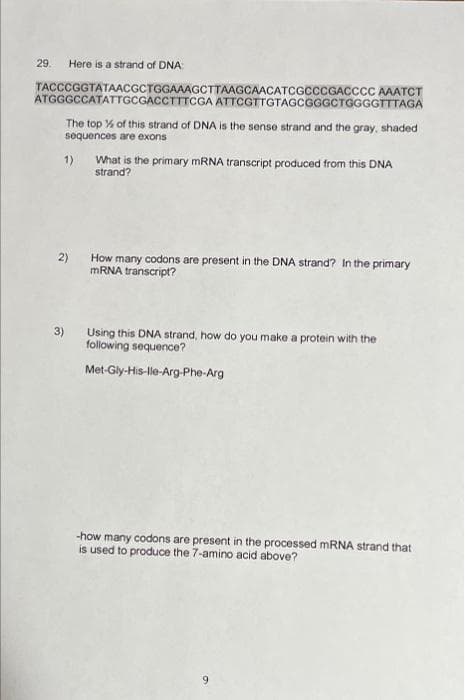 29.
Here is a strand of DNA:
TACCCGGTATAACGCTGGAAAGCTTAAGCAACATCGCCCGACCCC AAATCT
ATGGGCCATATTGCGACCTTTCGA ATTCGTTGTAGCGGGCTGGGGTTTAGA
The top % of this strand of DNA is the sense strand and the gray, shaded
sequences are exons
What is the primary MRNA transcript produced from this DNA
strand?
1)
How many codons are present in the DNA strand? In the primary
MRNA transcript?
3)
Using this DNA strand, how do you make a protein with the
following sequence?
Met-Gly-His-lle-Arg-Phe-Arg
-how many codons are present in the processed MRNA strand that
is used to produce the 7-amino acid above?
6.
