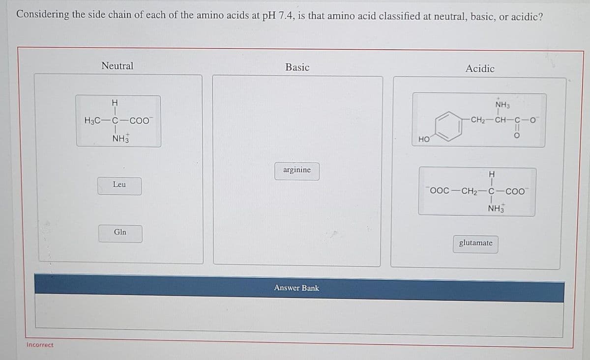 Considering the side chain of each of the amino acids at pH 7.4, is that amino acid classified at neutral, basic, or acidic?
Neutral
Basic
Acidic
H.
NH3
H3C-C-COO
CH2 CH-C-O
NH3
но
arginine
H.
Leu
OOC-CH2- C-COO
NH3
Gln
glutamate
Answer Bank
Incorrect
