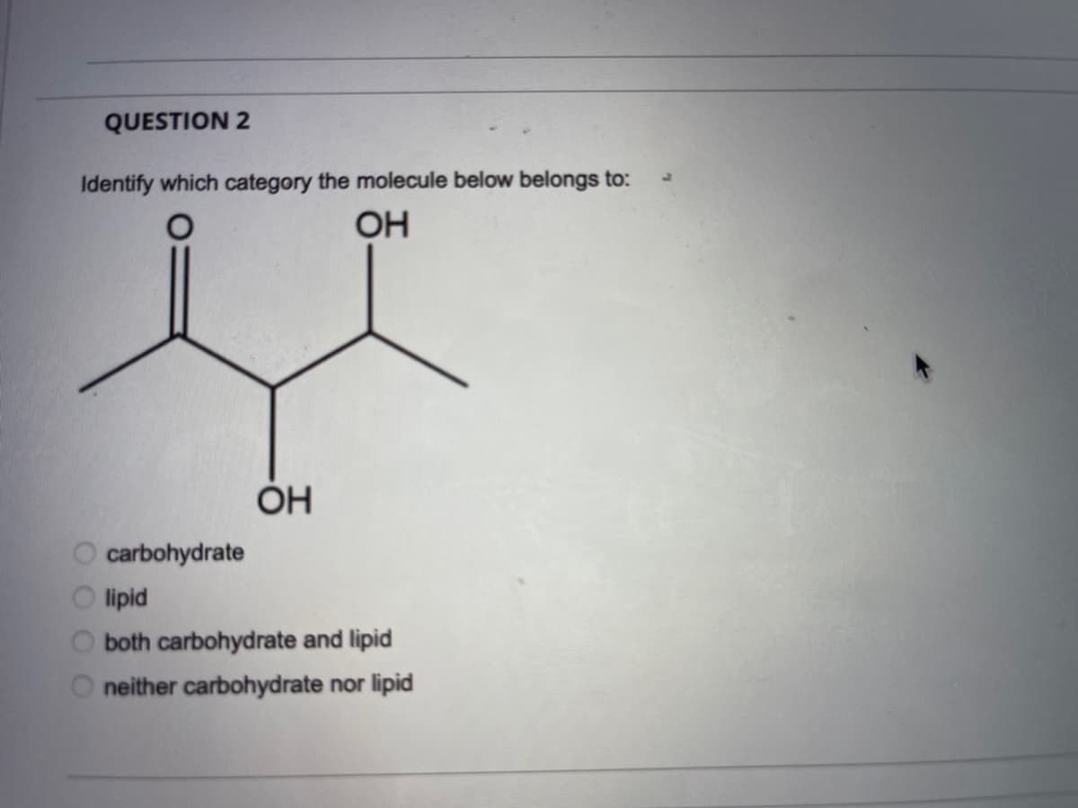 QUESTION 2
Identify which category the molecule below belongs to:
OH
OH
carbohydrate
O lipid
both carbohydrate and lipid
neither carbohydrate nor lipid
O O O O
