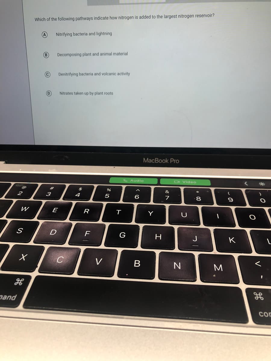 Which of the following pathways indicate how nitrogen is added to the largest nitrogen reservoir?
A
Nitrifying bacteria and lightning
B)
Decomposing plant and animal material
Denitrifying bacteria and volcanic activity
Nitrates taken up by plant roots
MacBook Pro
S Audio
O video
23
2$
&
2
3
4
5
6
8
W
E
R
Y
F
G
H
J
K
C
V
M
nand
cor
V
しの
