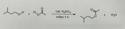 ㅅ
он
нов
cat. H₂SO4
reflux 1 h
بشر
H₂O
