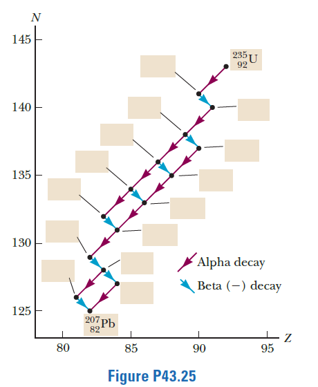 N
145
235U
92
140
135
130
Alpha decay
Beta (-) decay
125
207 Pb
82
80
85
90
95
Figure P43.25
