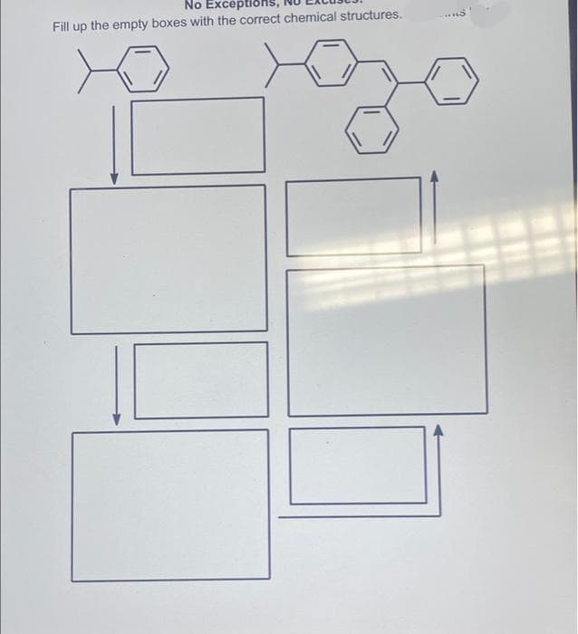 No Exceptioi
Fill up the empty boxes with the correct chemical structures.
