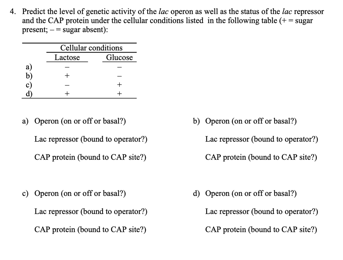 **Predict the Level of Genetic Activity of the lac Operon**

In this educational section, we aim to predict the level of genetic activity of the lac operon, along with the status of the lac repressor and the CAP protein under various cellular conditions. The table below indicates the presence (+) or absence (−) of lactose and glucose in the cellular environment:

| Cellular Conditions |  Lactose |  Glucose |
|:---------------------:|:--------:|:--------:|
| a) | − | − |
| b) | + | − |
| c) | − | + |
| d) | + | + |

For each of the conditions (a, b, c, and d), we need to determine the following:

- Whether the operon is on, off, or at a basal level of activity?
- Is the lac repressor bound to the operator?
- Is the CAP protein bound to the CAP site?

### Detailed Explanations:

#### Condition a)
- **Operon:** On or off or basal?
- **Lac Repressor:** Bound to operator?
- **CAP Protein:** Bound to CAP site?

#### Condition b)
- **Operon:** On or off or basal?
- **Lac Repressor:** Bound to operator?
- **CAP Protein:** Bound to CAP site?

#### Condition c)
- **Operon:** On or off or basal?
- **Lac Repressor:** Bound to operator?
- **CAP Protein:** Bound to CAP site?

#### Condition d)
- **Operon:** On or off or basal?
- **Lac Repressor:** Bound to operator?
- **CAP Protein:** Bound to CAP site?

**Explanation:**
1. **Lactose (−) and Glucose (−)**: No lactose to induce the operon and low glucose leading to active CAP protein due to high cAMP levels.
2. **Lactose (+) and Glucose (−)**: Lactose present to induce the operon and absence of glucose will activate CAP protein.
3. **Lactose (−) and Glucose (+)**: No lactose to induce the operon and glucose presence will inactivate CAP protein.
4. **Lactose (+) and Glucose (+)**: Lactose present to induce the operon but high glucose will suppress CAP protein binding due to low cAMP levels.
